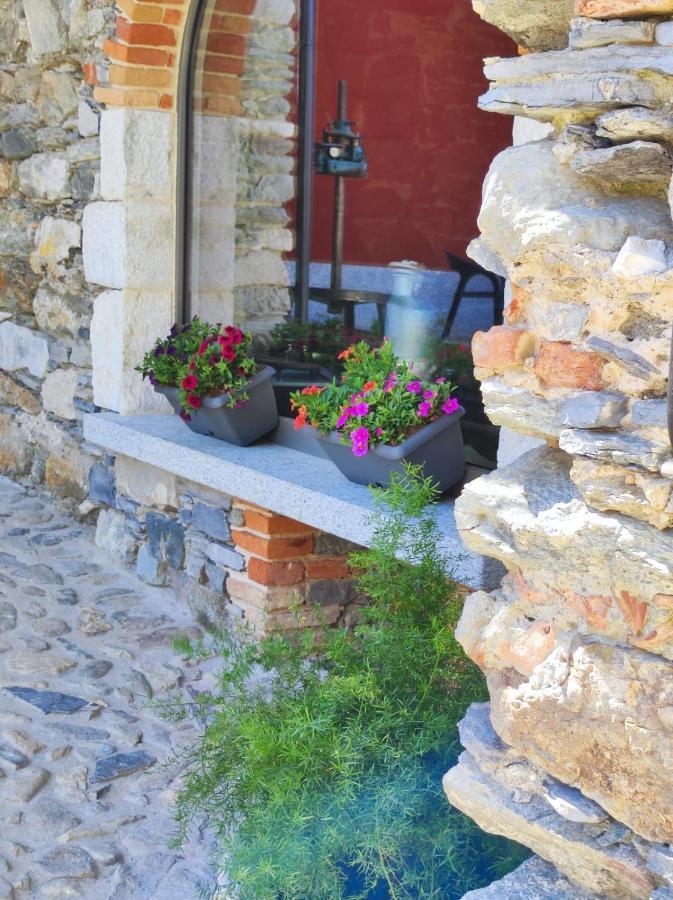 Agriturismo Il Medeghino Musso Екстер'єр фото