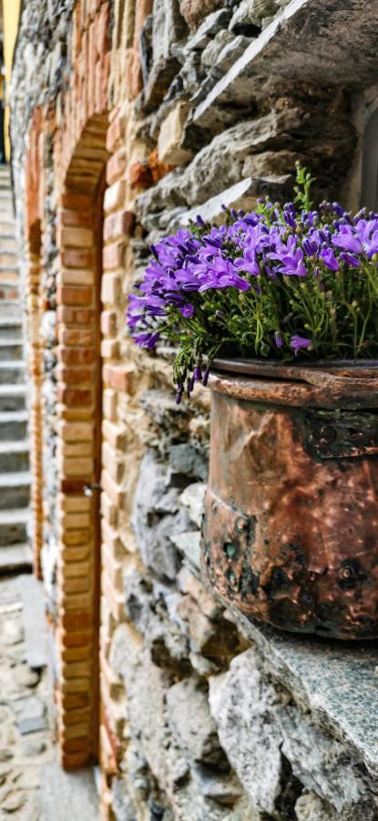 Agriturismo Il Medeghino Musso Екстер'єр фото
